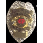 LOS ANGELES, CA RTD OFFICER OLD STYLE BADGE PIN